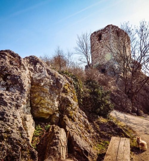 kozi-hradek-MIKULOV 10
